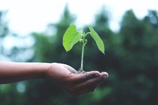 World Earth Day 2022 International Mother Earth Day.