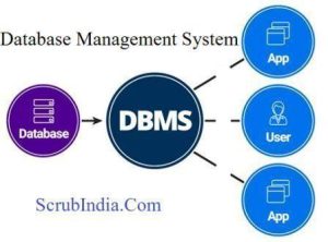 Database Management System (DBMS)