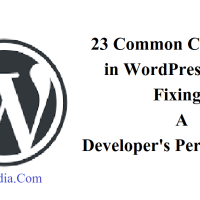 23 Common Challenges in WordPress Bug Fixing: A Developer’s Perspective