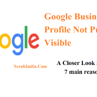 Google Business Profile Not Publicly Visible: A Closer Look into 7 main reason & 7 Solutions