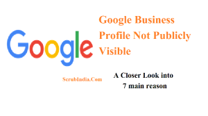 Google Business Profile Not Publicly Visible A Closer Look into 7 main reason 